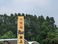 -大河马水上世界