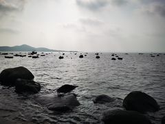 -海源公园