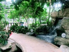 -南山植物园