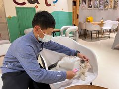-藏猫猫咖啡主题馆(中央大道店)