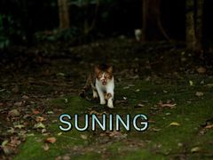 -苏州河梦清园环保主题公园