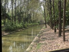 -合肥滨湖国家森林公园