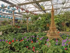 -南宫五洲植物乐园