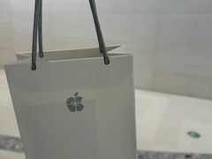 -Apple零售店(苏州店)