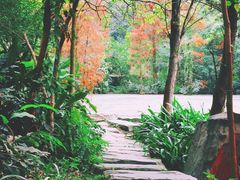 -云溪植物园