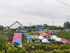 -紫颐香薰山谷景区