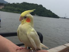 -紫光园清真北京小吃(广渠门内店)