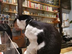 -猫的天空之城概念书店(杭州南宋御街店)