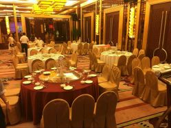 -天府阳光酒店·宴会厅