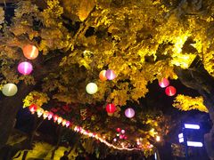 -横店影视城梦幻谷园区