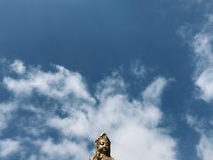-紫竹林