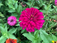 -永定河休闲森林公园