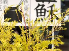 -苏州本色美术馆