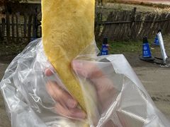 -洋湖沟