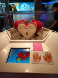 点击看大图 -北京科学中心儿童乐园