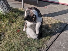 -中国观音故里广德景区