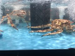 -中百生活剧场(泛海城市广场店)