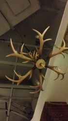 20150606_195243-木北造型