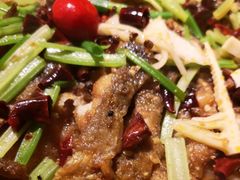 -老板恋上鱼(恒隆广场店)