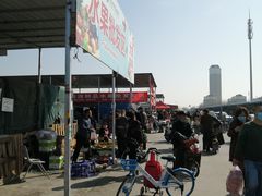 -何庄子阿米玛玛农产品批发市场