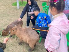 -盈香心动乐园