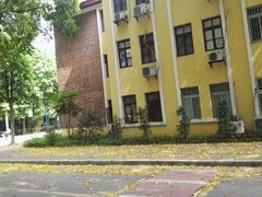 -暨南大学教育学院