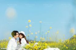 点击看大图 -青禾蒙娜丽莎婚纱摄影(武汉总店)