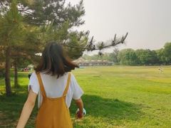 -石家庄市植物园