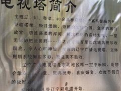 -辽宁电视塔
