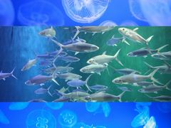 -威海华夏城景区