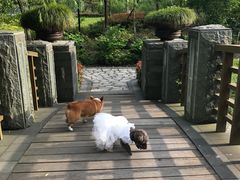 -宁波九龙湖开元度假村