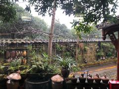 -青城甲(青城山店)