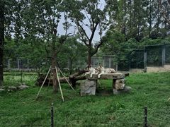 -上海野生动物园