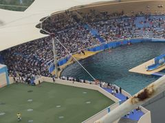 -秦皇岛乐岛海洋王国