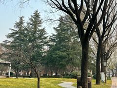 -唐城墙遗址公园