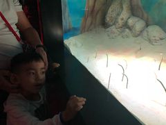 -暹罗海洋世界