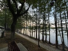 -食膳公园包子铺(烈士公园店)