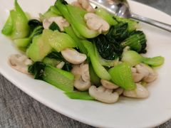 -外滩1288花园丽舍