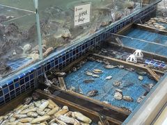 -天盛海鲜烧烤大排档·本地小海鲜·牟平腿穗子(幸福店)