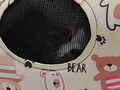 -瑞派宠物医院·24h·骨外科·皮肤科·全科宠物医疗转诊中心(沈阳浑南院)
