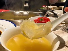 -汤城·料青山
