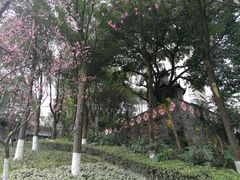 -重庆市江北嘴中央商务区中央公园