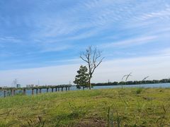 -漕湖湿地公园