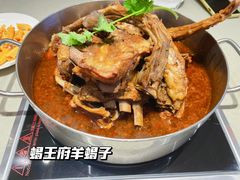 -蝎王府羊蝎子(天通苑店)