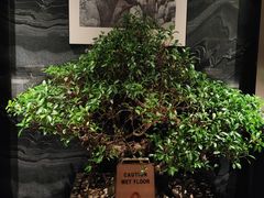 -凤凰园烤鸭店·唐山菜·传承花椒肉(老唐丰路店)