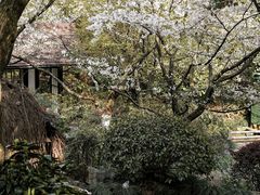 -中国茶叶博物馆(双峰馆区)