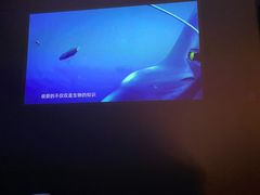 -三一行馆·日式禅意SPA足道·高空观景(解放碑店)
