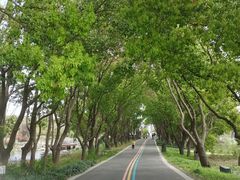 -同里国家湿地公园