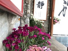 -苍山感通索道
