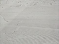 -哈尔滨热雪奇迹